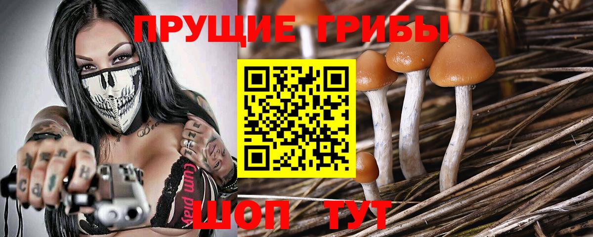 Псилоцибиновые грибы MAGIC MUSHROOMS  Псилоцибиновые грибы Psilocybe  Бузулук  дарнет шоп  Вход с VPN 