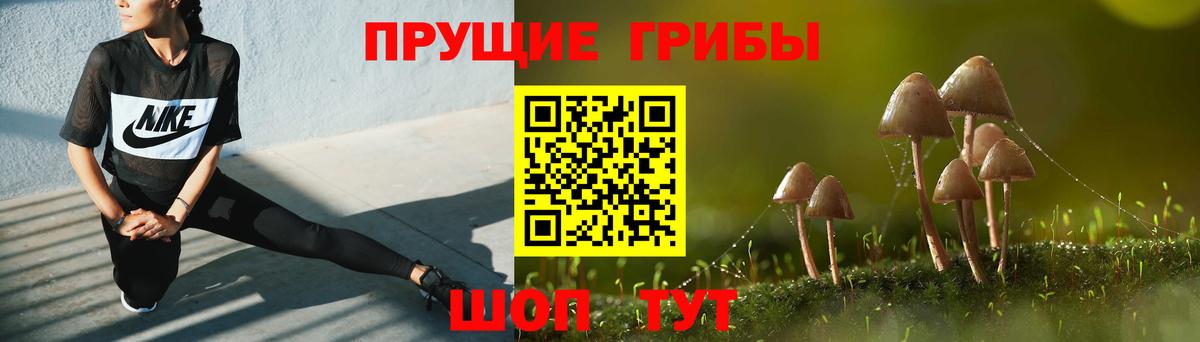 Галлюциногенные грибы мухоморы Бузулук